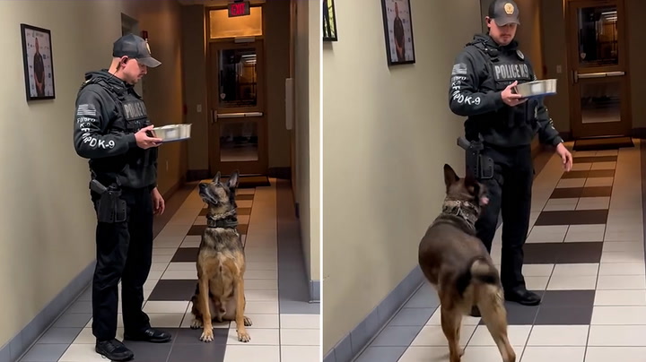 Retiring police K9 presented with special snack during heartwarming send off