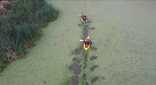Kayaks y un dron para rescatar un perro atrapado entre aguas cloacales