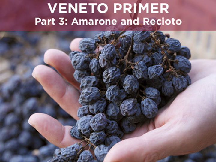 Veneto Primer: Amarone 101 with Allegrini