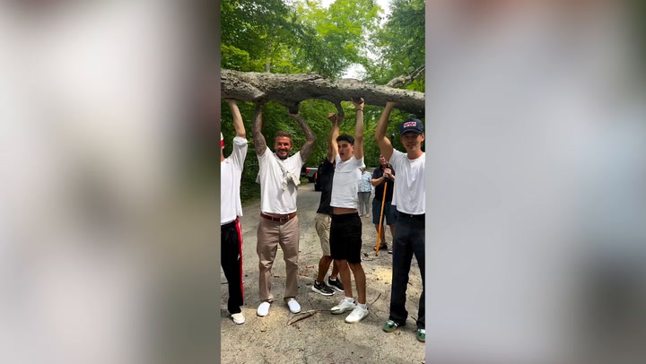 David Beckham and son Cruz join actor Austin Butler to lift fallen tree blocking path