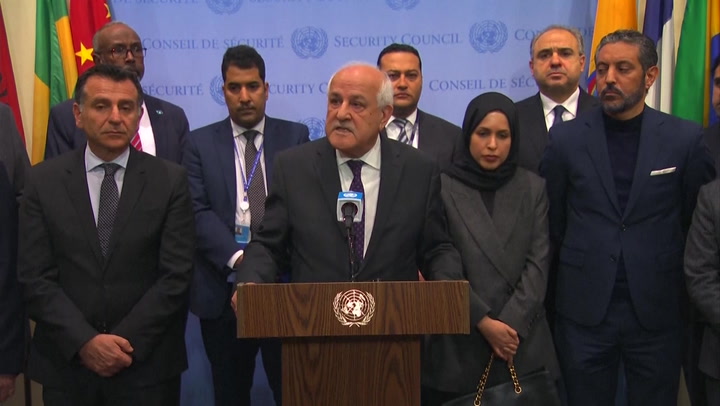 Palestinian ambassador denounces UN Security Council after Gaza ceasefire vote