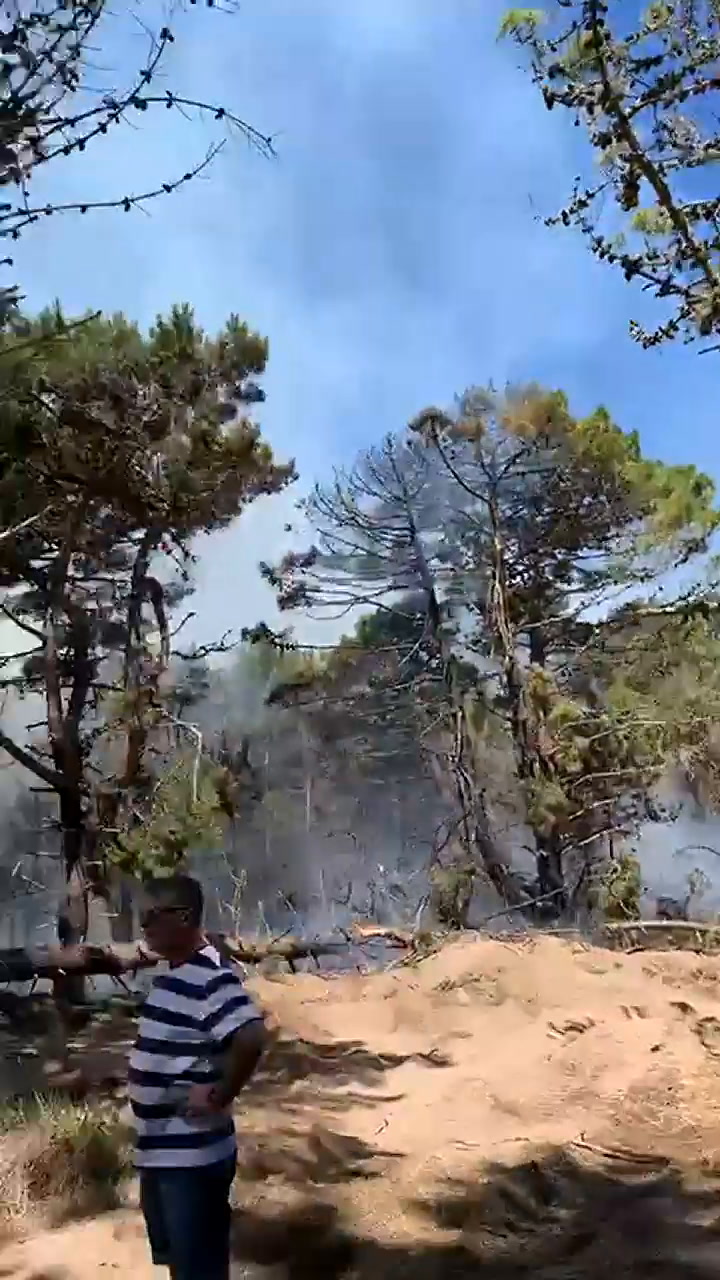 Incendio en el bosque de Pinamar cerca de La Herradura (Fuente: Seguridad de Pinamar)