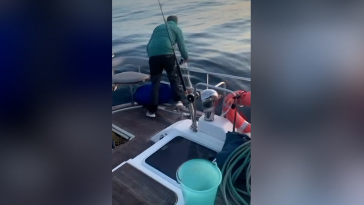 Watch killer whales wreck boat in latest violent attack off Spain