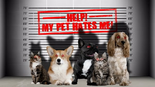 Video: Dokumentar: «Help! My Pet Hates Me»