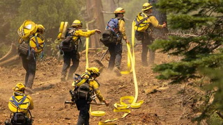 Incendio en California: más de 2.500 bomberos trabajan para detener las llamas