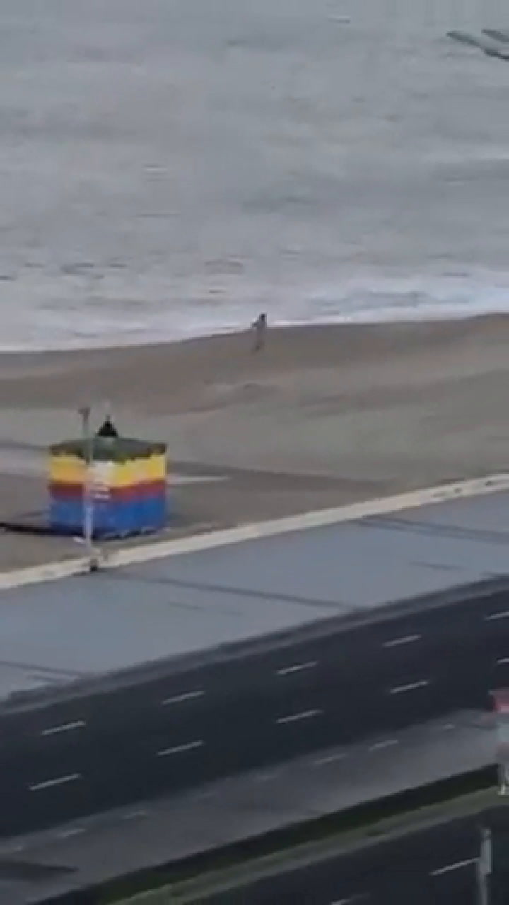 Un hombre rompió la cuarentena en Mar del Plata y se metió al mar desnudo - Fuente: YouTube