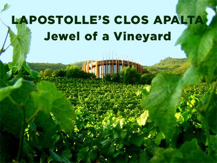 Lapostolle's Clos Apalta