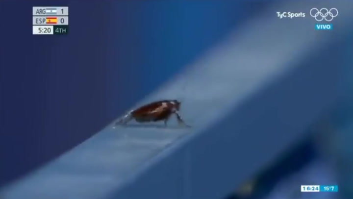 Bored TV cameraman under fire for cutting away from olympic hockey to film cockroach