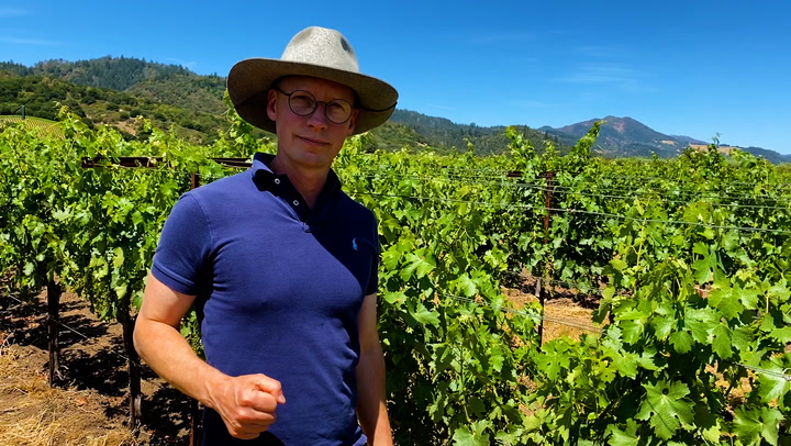 In the Vineyard at Dominus: Dry Farming with Tod Mostero