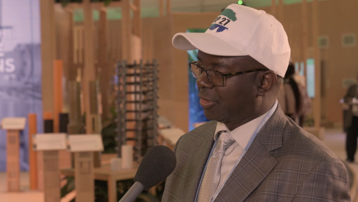 SGI goal to plant 10 billion trees is ‘incredible’, says Sierra Leone environment minister