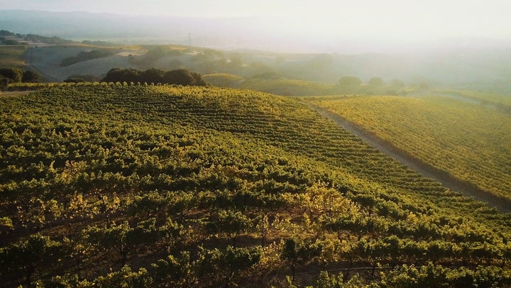 Sojourn Cellars' Journey to the Edge of the Earth: 1st Place—Video Contest 2019
