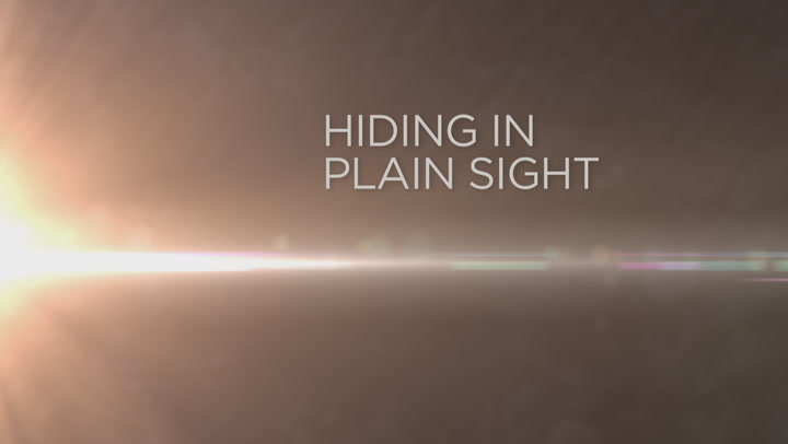 Hiding In Plain Sight Trailer
