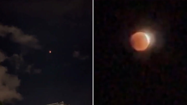Blood moon eclipse appears in south Florida sky