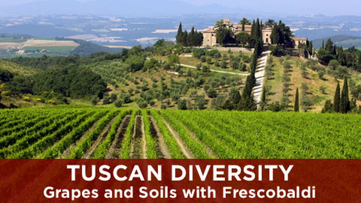Tuscan Diversity: Grapes & Soils with Frescobaldi