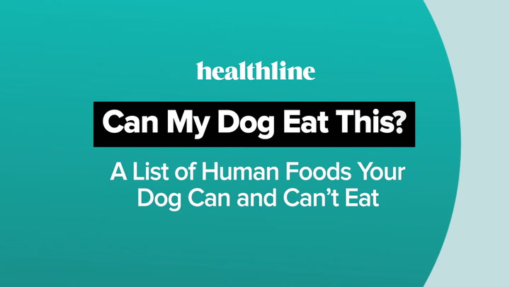 Complete List of People Foods Dogs Can't Eat