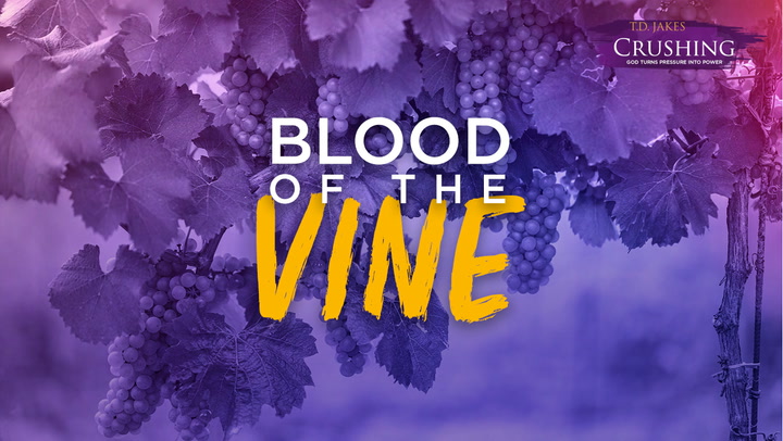 Blood of the Vine