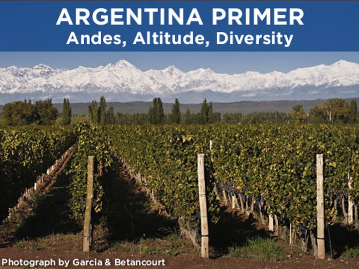 Argentina Primer: Andes, Altitude, Diversity