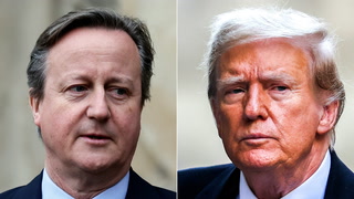 David Cameron describes Donald Trump in two words after recent meeting