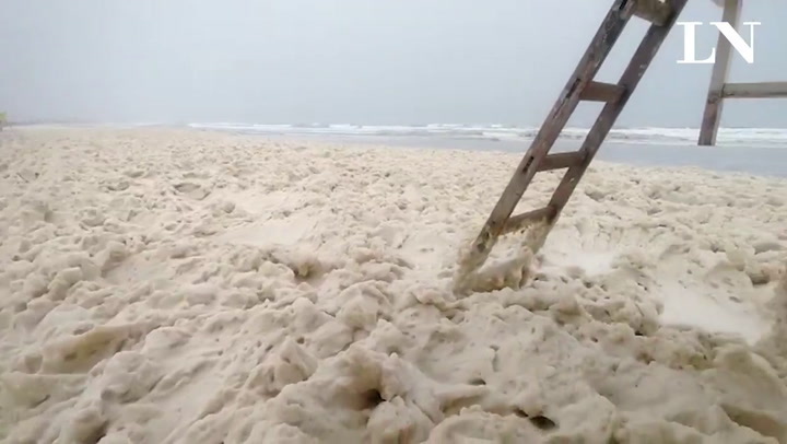 Mar del Plata: sorprende a los turistas un extraño fenómeno en la espuma de mar