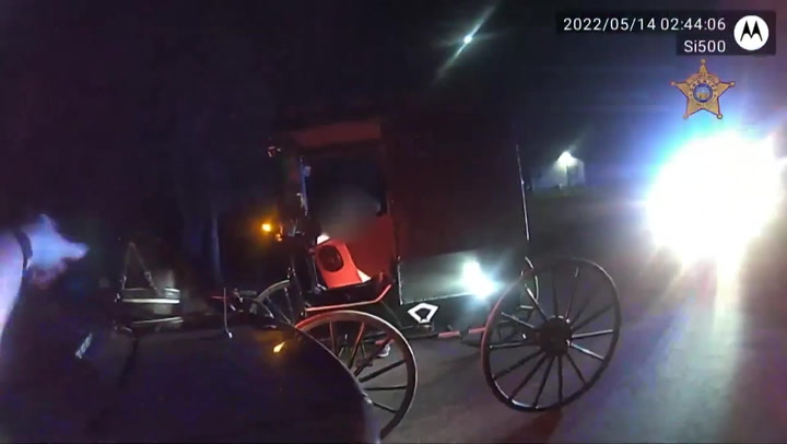 Horse-drawn cart leads police on low-speed chase