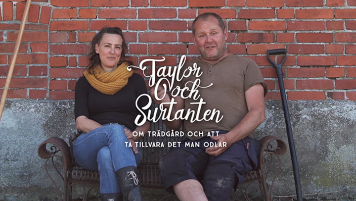 Taylor & Surtanten – Nytt odlingsprogram med Jenny Neikell och John Taylor