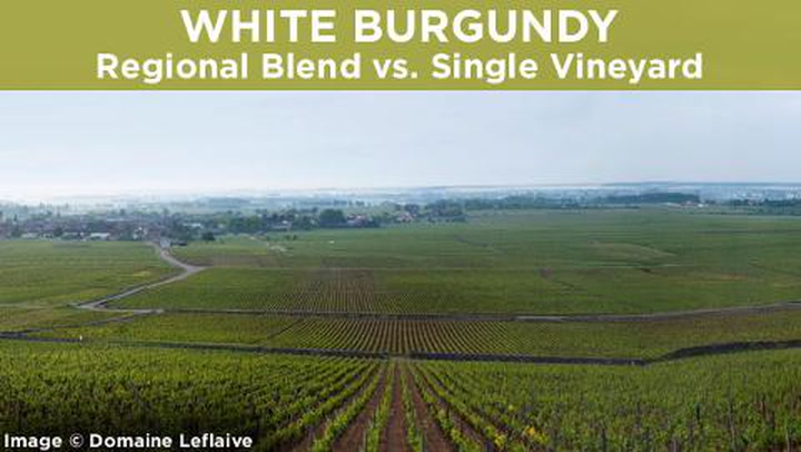 White Burgundy: Regional Blend vs. Single Vineyard