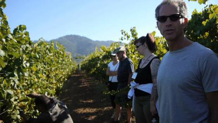harvest - grape camp - wine spectator