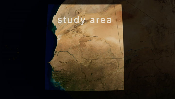 El increíble hallazgo de cientos de millones de árboles en el desierto del Sahara - Fuente: Youtube