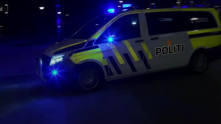 Danish Man In Custody After Bow-and-arrow Killings In Norway Original Video M201790