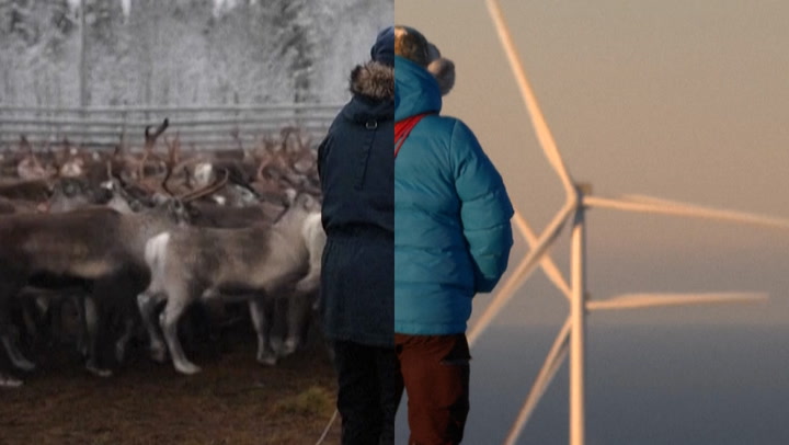 Reindeer vs. wind farms: Lapland herders fight to protect traditional lifestyle