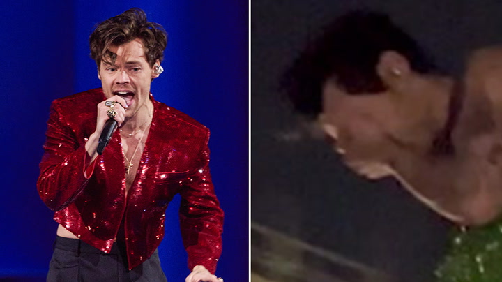 Watch moment Harry Styles hit in face with object during Vienna show