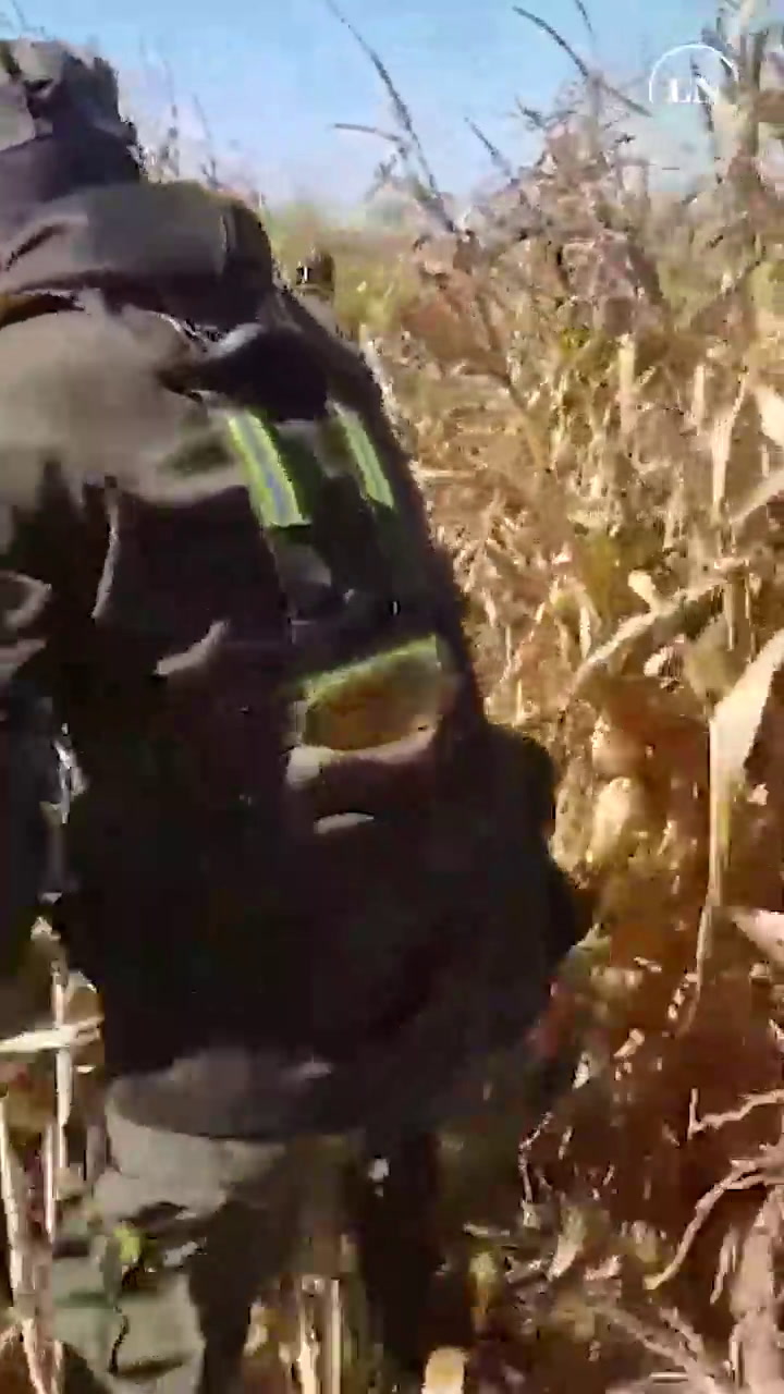 Encuentran 175 kilos de cocaína 'bombardeados' en campos