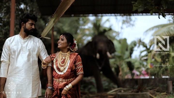 Elephant throws branch at groom during wedding shoot