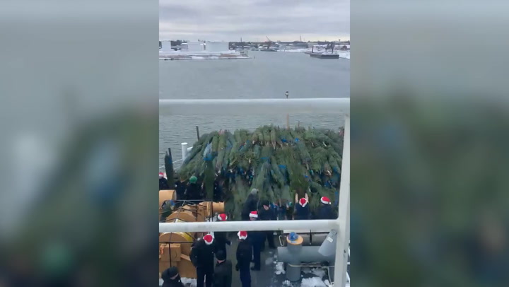 Michigan High School Students Load 1,200 Christmas Trees Onto Ship For Chicago