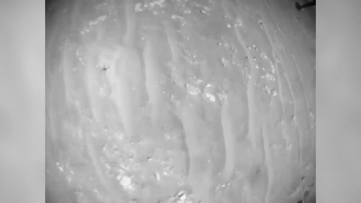 Nasa video captures tiny helicopter flying over Mars