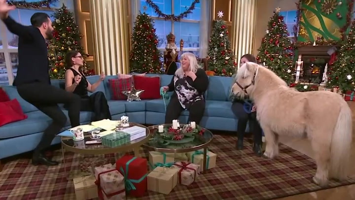 Miniature pony causes chaos live on This Morning