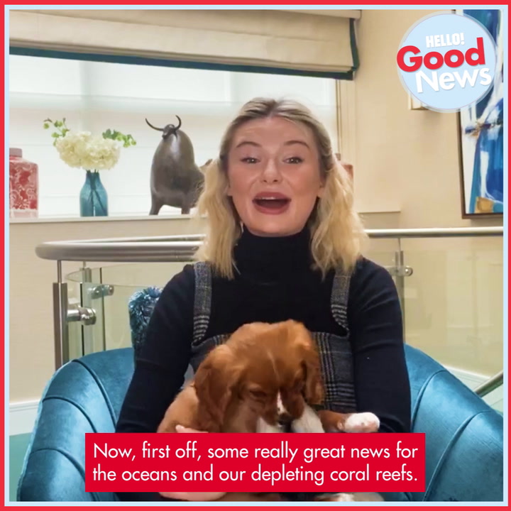 Toff's Hello To Good News - Episode 5