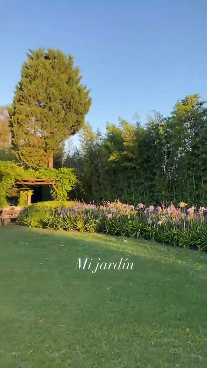 Gallinero y Jacarandás: Juliana Awada mostró el amplio jardín de su casa