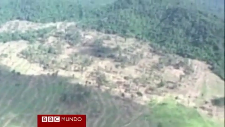 Avanza la deforestación en el Amazonas (BBC Mundo)