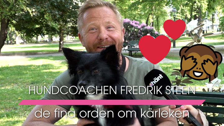 Hundcoachen Fredrik Steen - de fina orden om kärleken