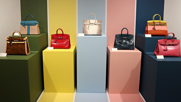 Top 10 Most Expensive Hermes Birkin bags (and other) as of 2023!
