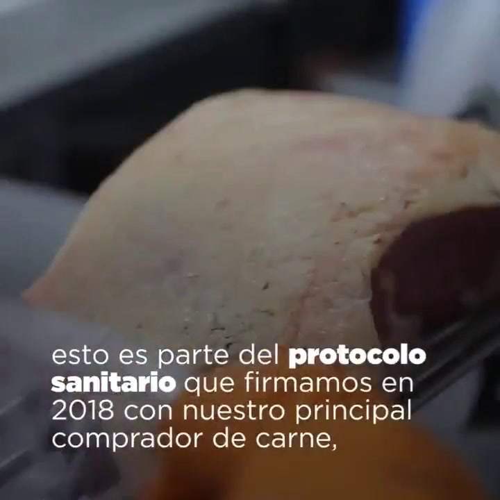 La Argentina comenzó a exportar carne de calidad a China - Fuente: Twitter
