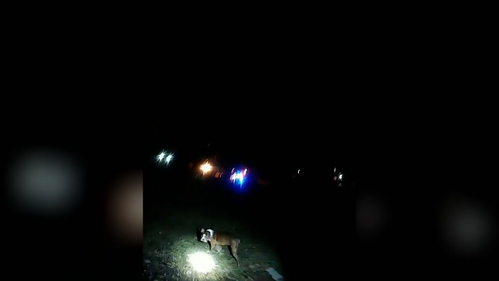 Indiana police officer appears to repeatedly kick dog during call out