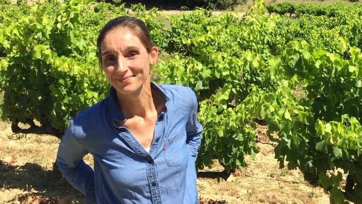 Managing Old Vine Grenache: Molesworth Visits Fontbonau