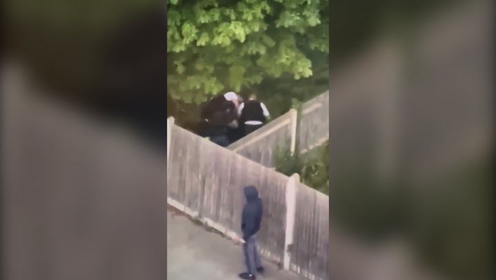 Video appears to show Metropolitan Police officers punching boy in garden
