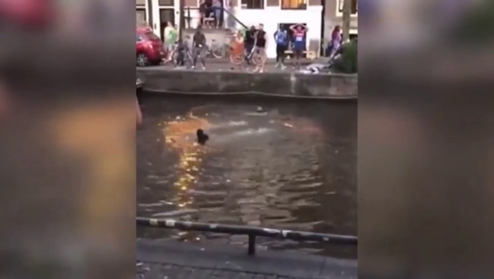 Se cayó un auto a un canal de Amsterdam - Fuente: Real Press