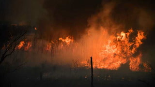 Fuego en España: continúan los incendios en el sur del país