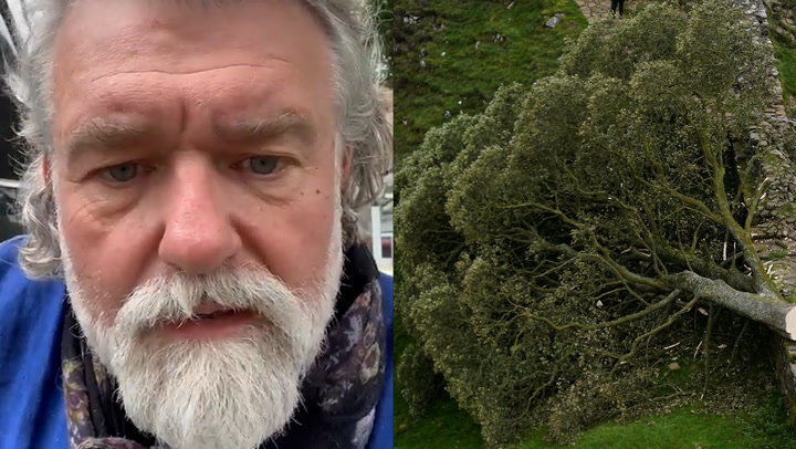 Hairy Bikers say Sycamore Gap tree culprit 'murdered spirit of Northumberland'