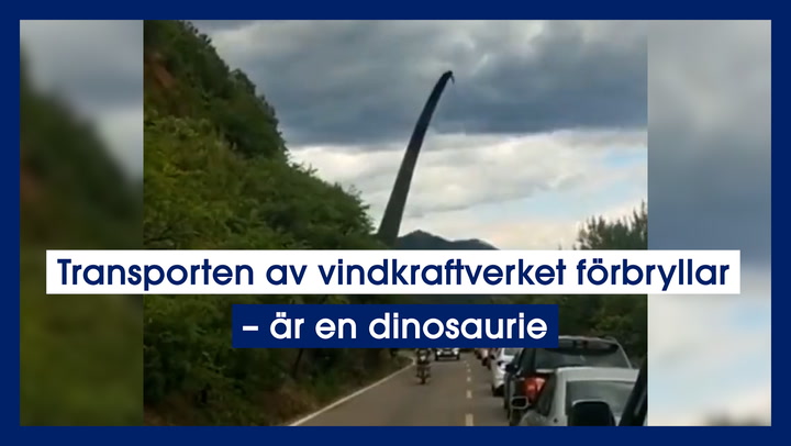 Transporten av vindkraftverket förbryllar – är en dinosaurie