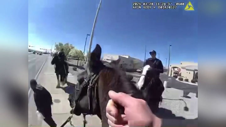 Police Chase Down Shoplifter on Horseback in Albuquerque, NM, USA